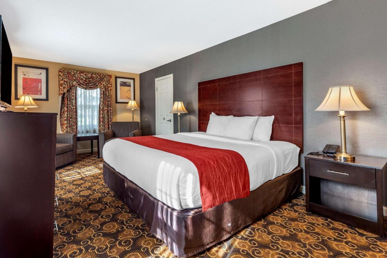 Comfort - Boston Hotel
