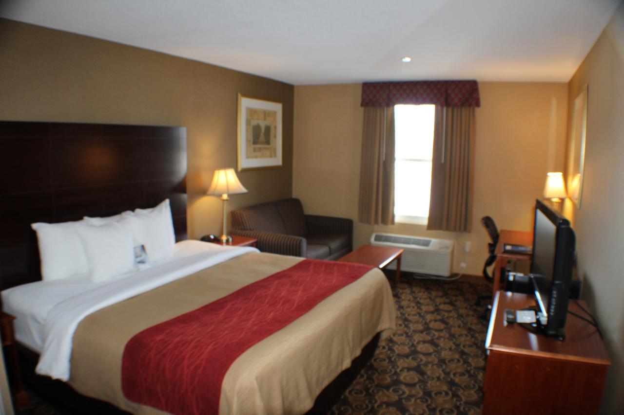 Comfort - Boston Hotel