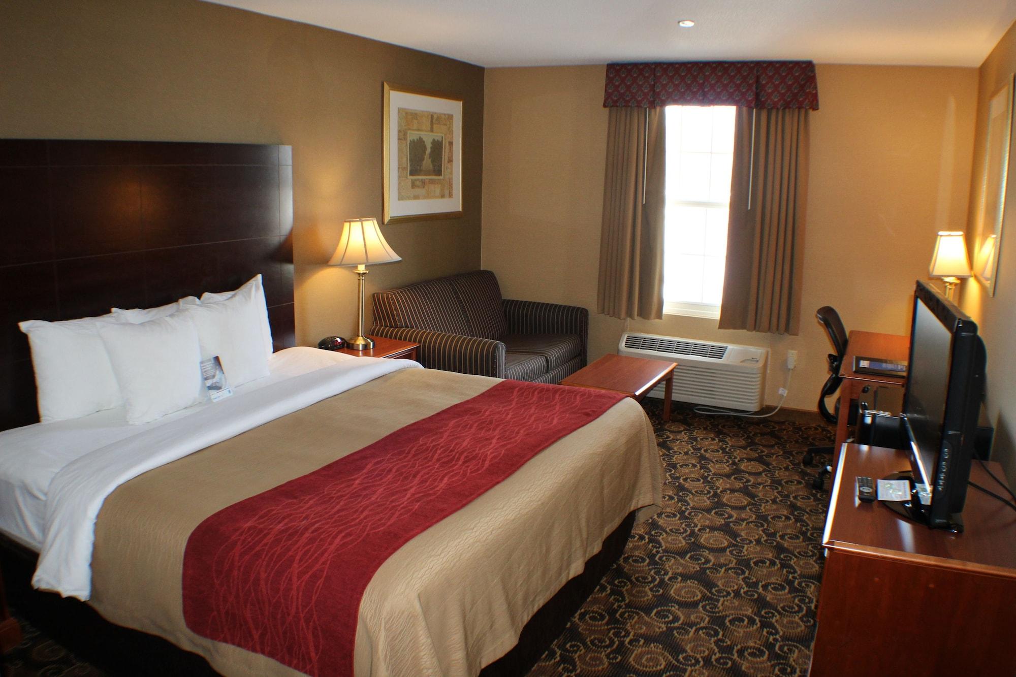 Comfort - Boston Hotel