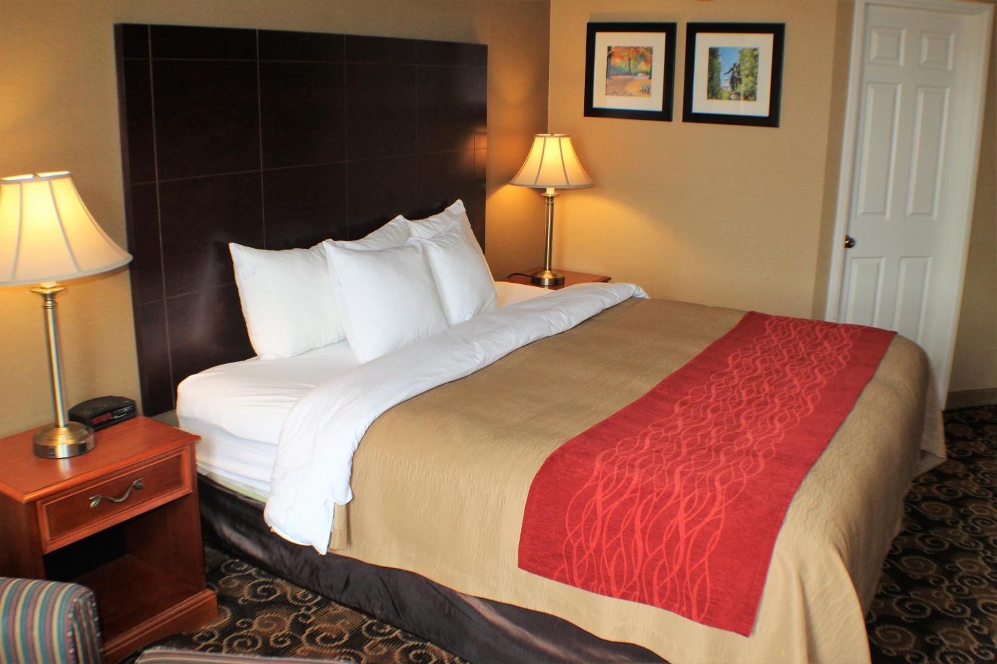 Comfort - Boston Hotel Rockland